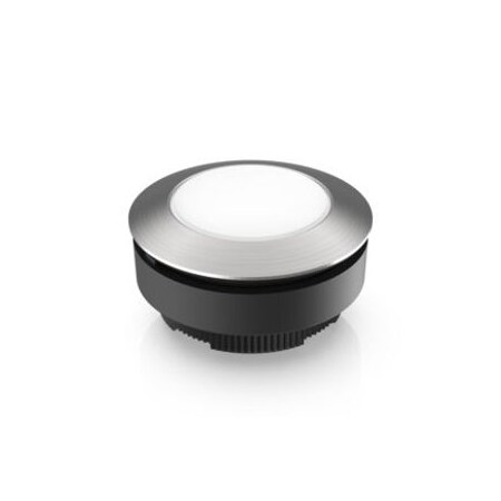 Rafi Config Sw Body Pushbutton Illum 1.30.290.031/2200